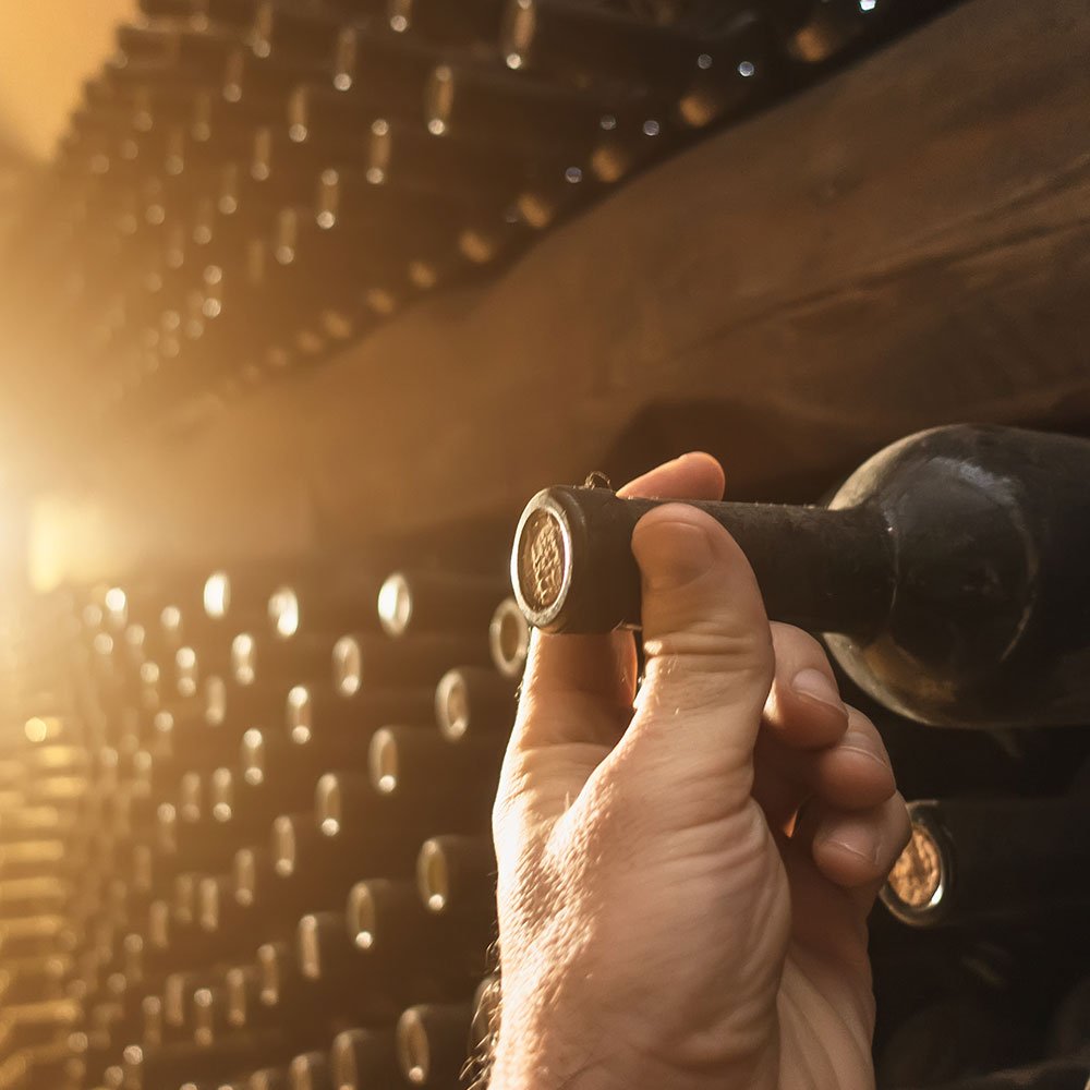 TemperaWine Cellar Temperature and Humidity Control